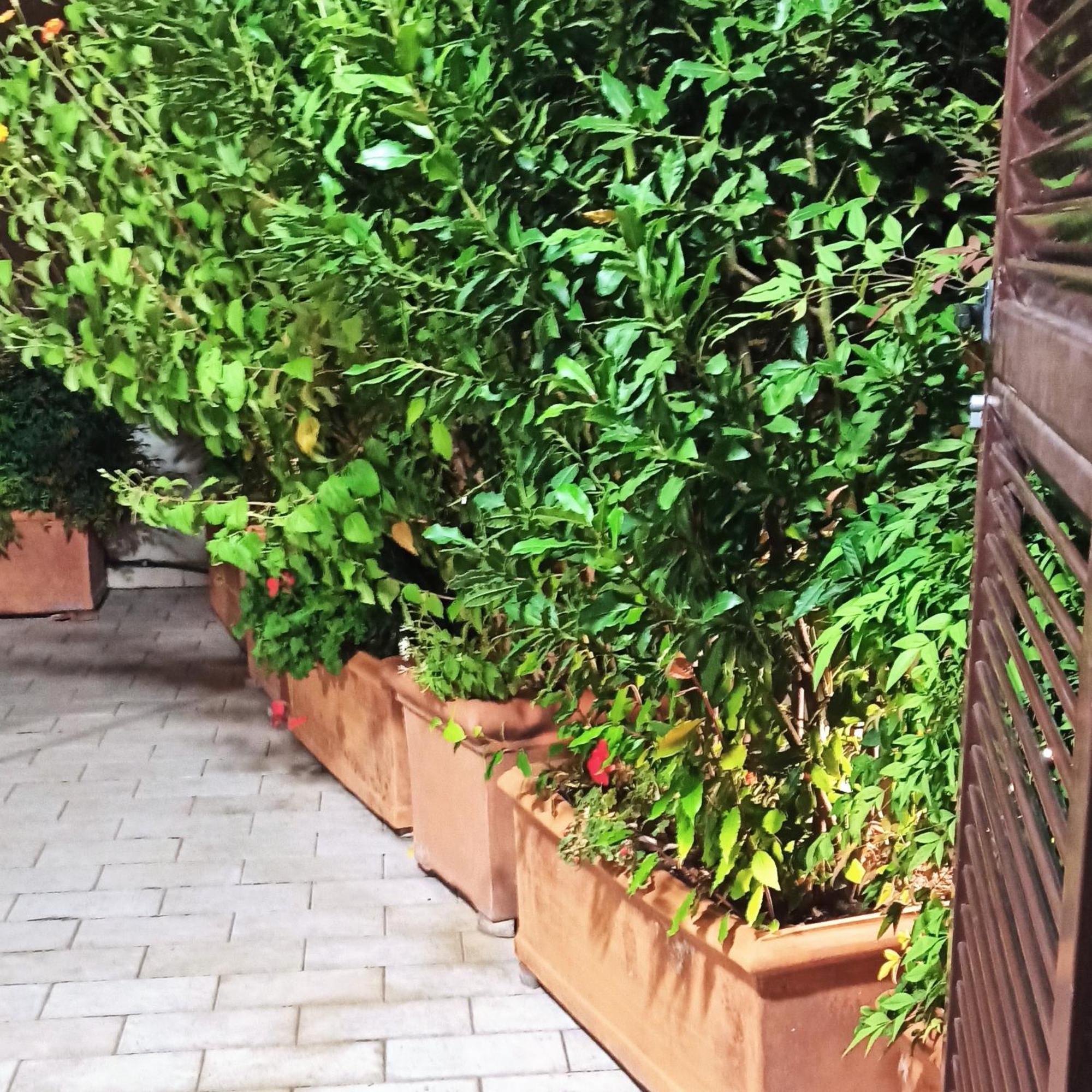 Living By Vatican With Panoramic Terraces In Rom Exterior foto