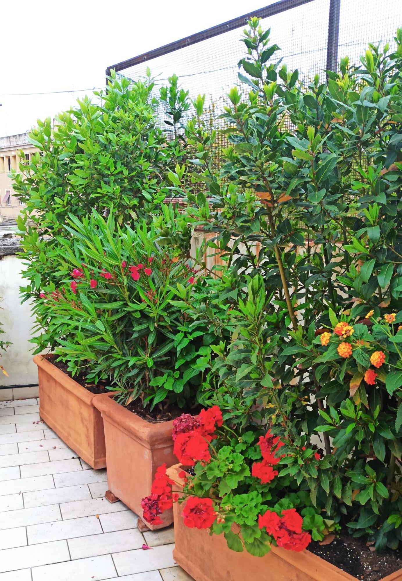 Living By Vatican With Panoramic Terraces In Rom Exterior foto